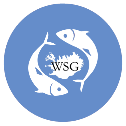 WSG Trading